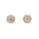 Close-up of 14kt yellow gold 6mm diamond cluster earrings on white background