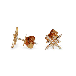Side angle showing diamond sparkle and post setting of North Star earrings
